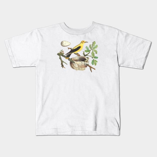 Oriole Bird Wildlife Illustration Kids T-Shirt by Biophilia